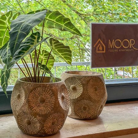 Moor Feeling Apartments Worpswede Kültér fotó