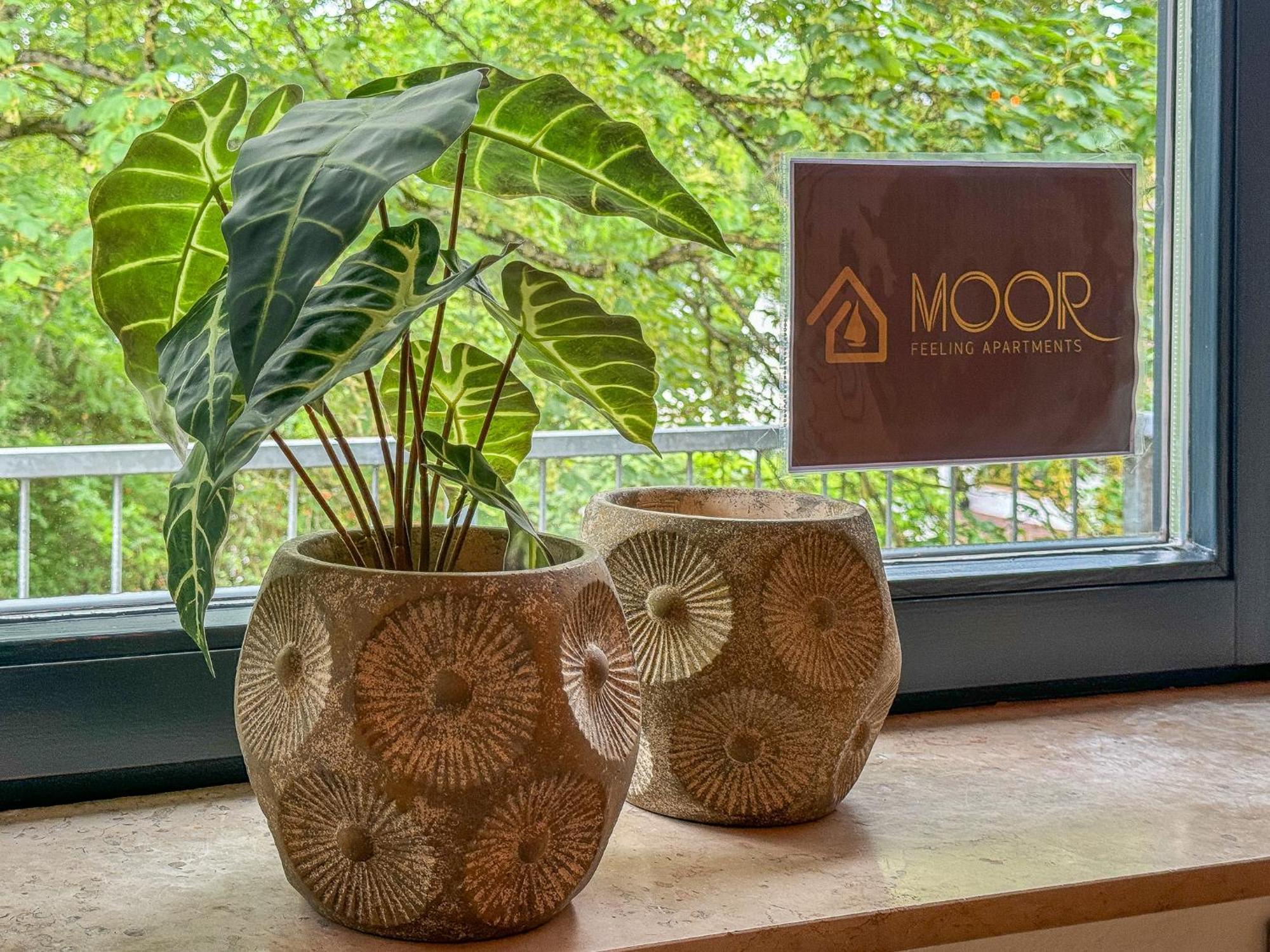 Moor Feeling Apartments Worpswede Kültér fotó